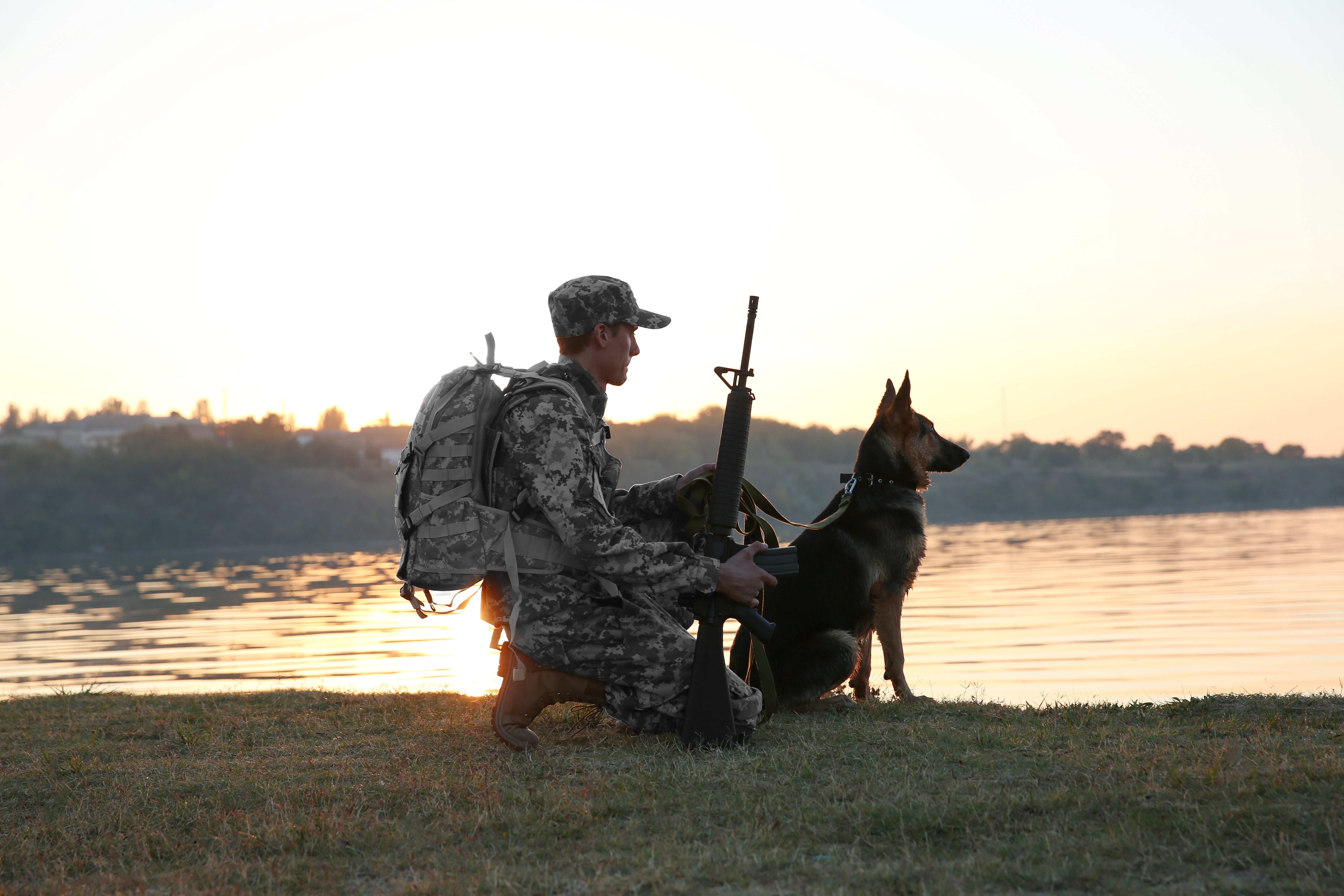 Honoring K9 Veterans Day: Celebrating the Courage and Service of Our Four-Legged Heroes